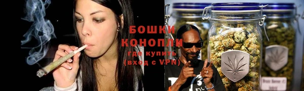 стаф Волосово