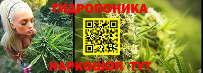 амф Гусь-Хрустальный
