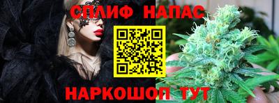 амф Гусь-Хрустальный