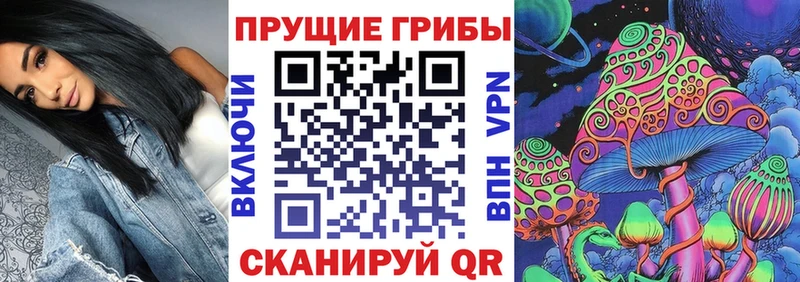 закладка  Мариинск  Галлюциногенные грибы прущие грибы 